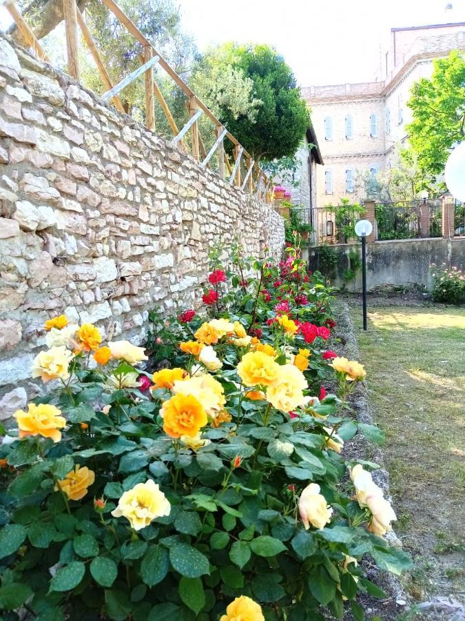 Residenza Messer Pajola Assisi Eksteriør bilde