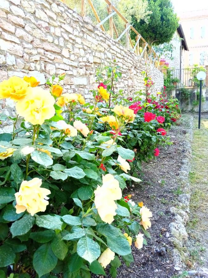 Residenza Messer Pajola Assisi Eksteriør bilde