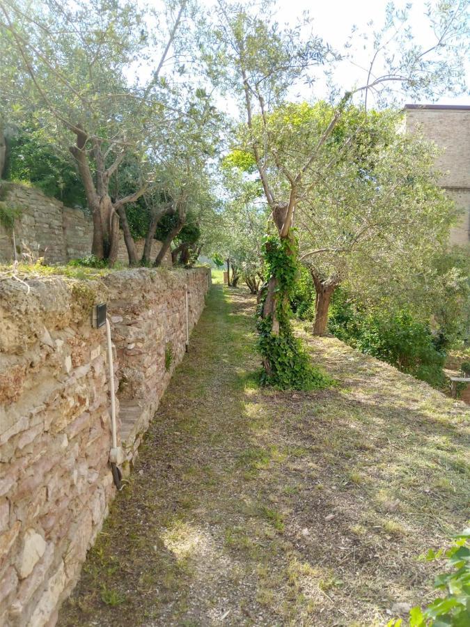 Residenza Messer Pajola Assisi Eksteriør bilde